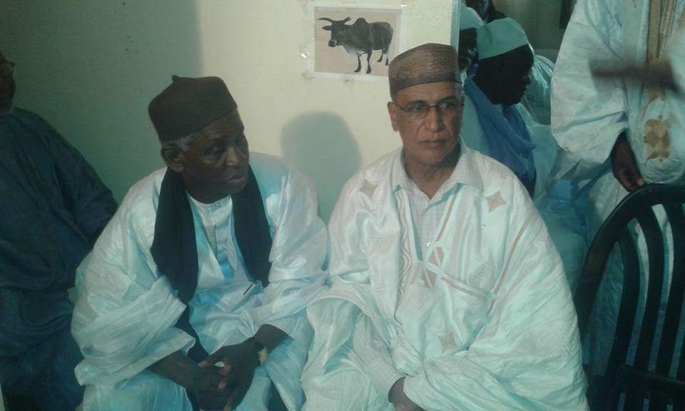 wp-1448797643392 image