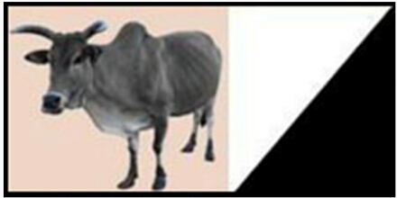 1446584622396_Screenshots.png image